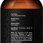 Handcraft Blends Hotel Fragrance Oil Noir Scent – Luxury Hotel Collection Diffuser Oil Scents for Home Cold Air Diffusers – Aromatherapy Fragrance Oil Inspired by Escapade Scent Oil – 4 Fl Oz