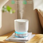 GoveeLife Smart Essential Oil Diffuser with Alexa Voice App Control for Home Office Bedroom, 300ml Quiet Cool Mist Aroma Diffuser with 2 Mist Modes, 24H Timer, RGBIC Light, Waterless Auto Off/Alarm