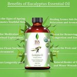 SVA Organics Eucalyptus Essential Oil Organic 4 Oz USDA with Dropper 100% Pure Natural Undiluted Premium Therapeutic Grade Oil for Diffuser, Aromatherapy, Face, Body & Hair Care