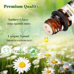 Mieztay Essential Oils Set – 40 Pcs Premium Essential Oil Kit for Candle Making, Diffusers, Massages, Aromatherapy, Skin Care – Lavender, Eucalyptus, Peppermint, Tea Tree, Sandalwood Aromatherapy Oils