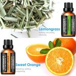 URPOWER Essential Oils Top 8 Aromatherapy Essential Oils 100% Pure Therapeutic Grade Essential Oils Set Lavender/Peppermint/Tea Tree/Orange/Eucalyptus/Lemongrass/Frankincense/Rosemary