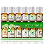 Fragrance Oils Set of 6 Scented Oils from Good Essential – Amber Oil, Coffee Oil, Leather Oil, Fresh Cotton Oil, Fresh Cut Grass Oil, Bamboo Oil: Aromatherapy, Perfume, Soaps, Candles, Slime, Lotions!