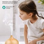 VicTsing Essential Oil Diffuser, 300ml Oil Diffuser with 4 Timer, Aromatherapy Diffuser with Auto Shut-Off Function, Cool Mist Humidifier BPA-Free for Bedroom Home