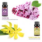 Lagunamoon Essential Oils Top 10 Gift Set Pure Essential Oils Gift Set for Diffuser, Humidifier, Massage, Aromatherapy, Skin & Hair Care