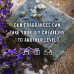 P&J Fragrance Oil Christmas Set | Christmas Wreath, Mistletoe, Candy Cane, Gingerbread, Cinnamon, and Cranberry Candle Scents, Freshie Scents, Candle/Soap Making Supplies