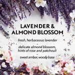 Air Wick Essential Mist, Essential Oil Diffuser, (Diffuser + 2 Refills), Lavender & Almond Blossom & Fresh Water Breeze, Air Freshener