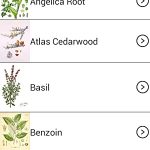 Essential Oils Guide